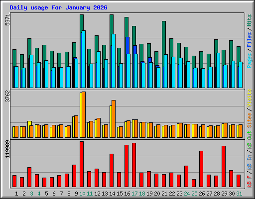 Daily usage for January 2026