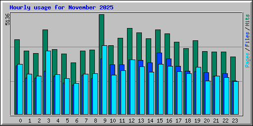 Hourly usage for November 2025