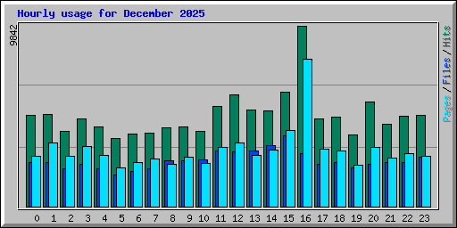 Hourly usage for December 2025