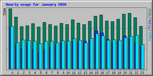 Hourly usage for January 2026