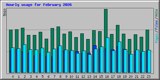 Hourly usage for February 2026