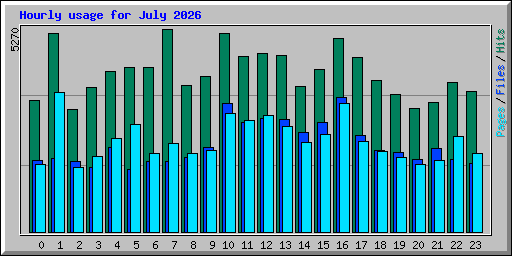 Hourly usage for July 2026
